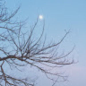 Meet your Posher, Guia